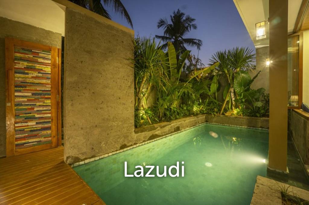 Affordable Freehold Villa in Lodtunduh, Ubud
