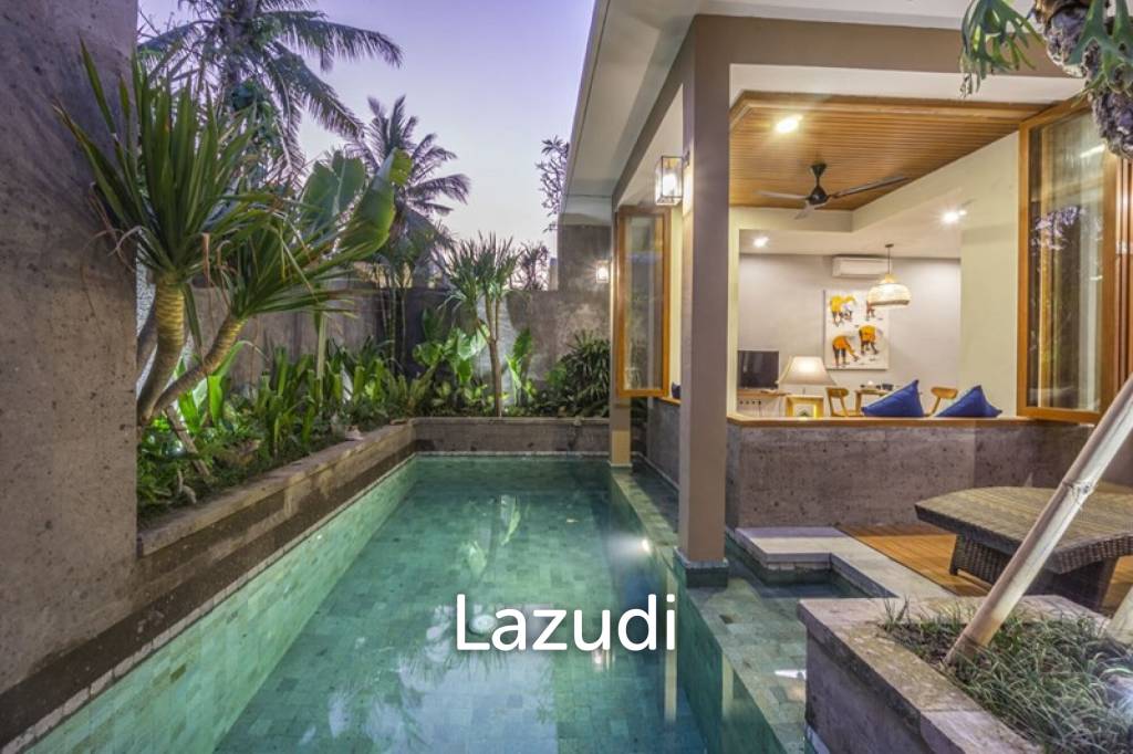 Affordable Freehold Villa in Lodtunduh, Ubud