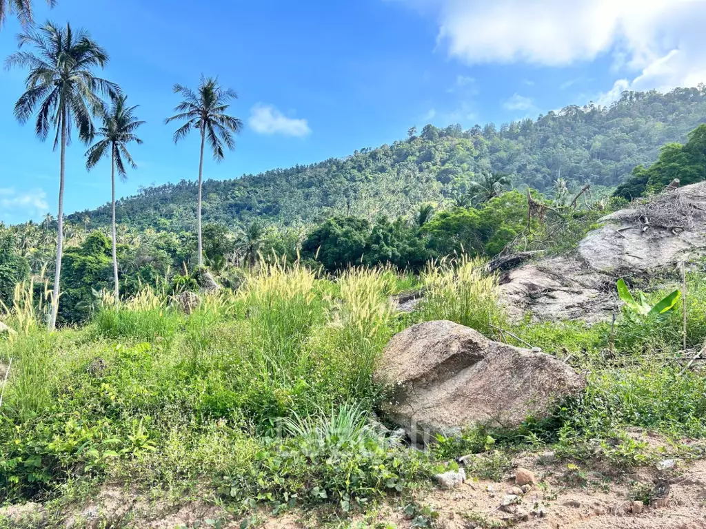 Sea View Land for Sale in Lamai, Koh Samui – 2178 sqm