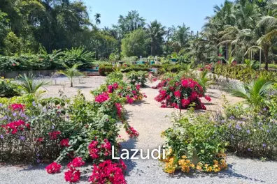 17 Rai of Beautiful Plantation Land. Unbeatable Value!