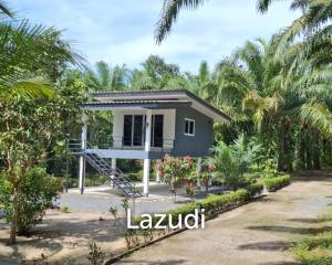 17 Rai of Beautiful Plantation Land. Unbeatable Value!