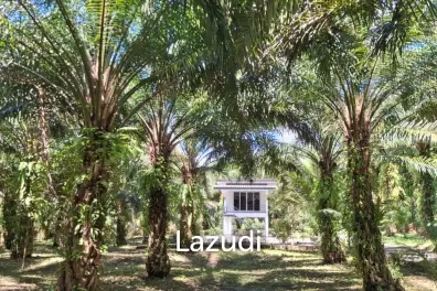 Unbeatable Value! 17 Rai of Stunning Land.