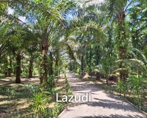 Unbeatable Value! 17 Rai of Stunning Land.