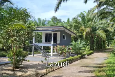 Unbeatable Value! 17 Rai of Stunning Land.