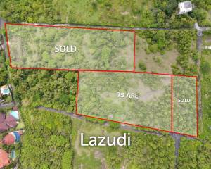 PRIME RESIDENTIAL LAND WITH SCENIC HILLSIDE VIEWS IN BALANGAN