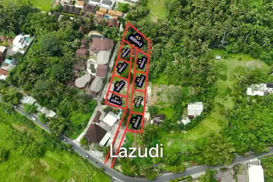 Small Freehold Land Blocks in Kengatan Ubud
