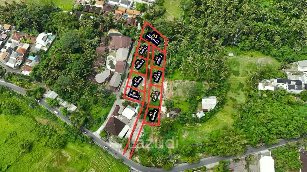 Small Freehold Land Blocks in Kengatan Ubud
