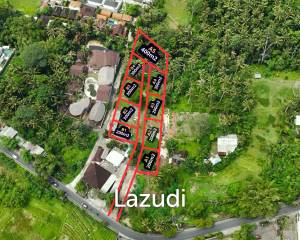 Small Freehold Land Blocks in Kengatan Ubud