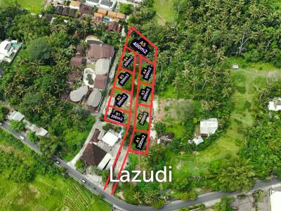 Small Freehold Land Blocks in Kengatan Ubud