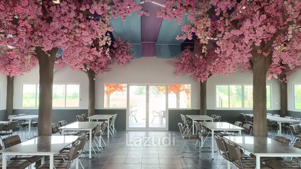 ขายร้านอาหารพร้อมรีสอร์ทจำนวน 6 หลัง บ้านดู่ เชียงราย