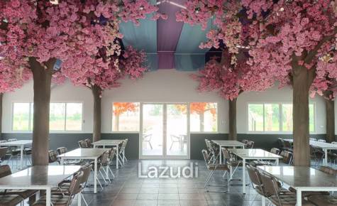 Restaurant and 6 Guest Houses Resort For Sale in Ban Du