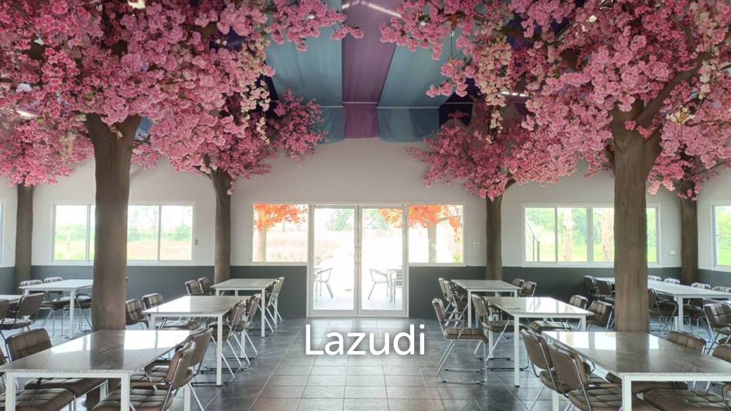 Restaurant and 6 Guest Houses Resort For Sale in Ban Du