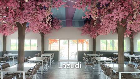 Restaurant and 6 Guest Houses Resort For Sale in Ban Du