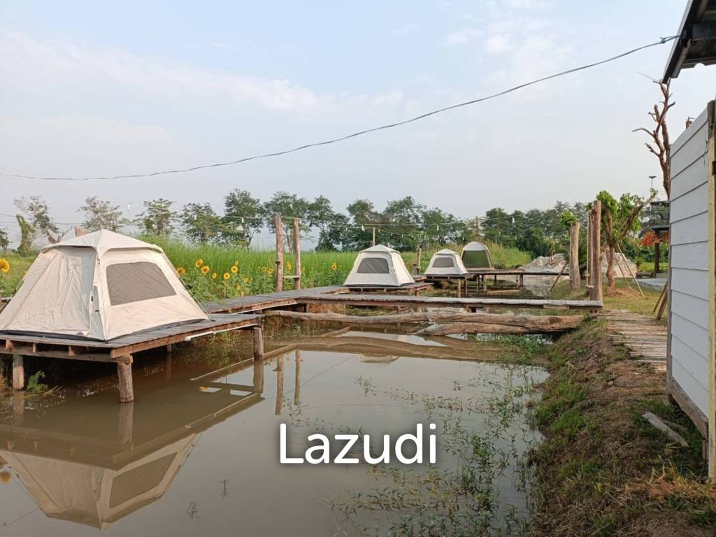 Restaurant and 6 Guest Houses Resort For Sale in Ban Du