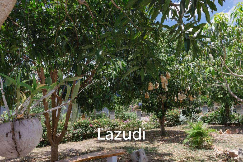 2 Storey 3 Bed Villa with 1 Rai land