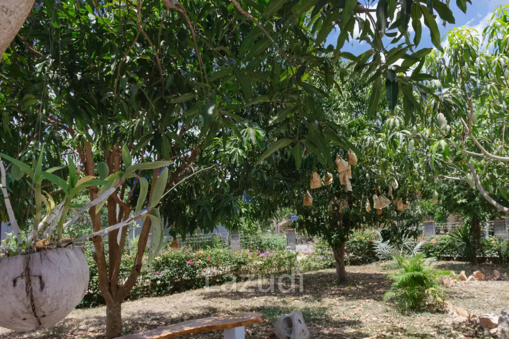 2 Storey 3 Bed Villa with 1 Rai land