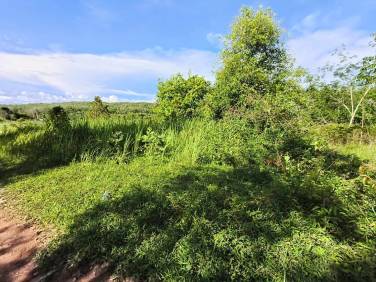 14,112 SQ.M Of Land For Sale With Mountain View In Pa Klok 14,112 SQ.M Of Land For Sale With Mountain View In Pa Klok