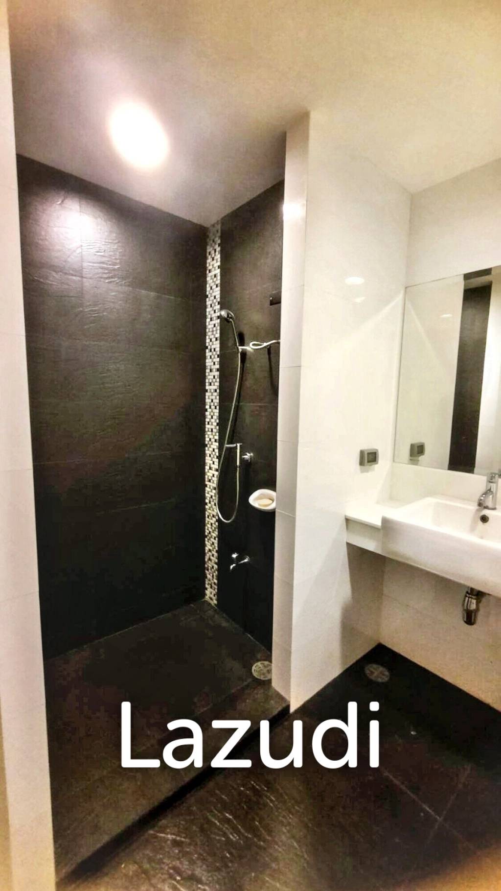 Studio 1 Bathroom 35 Sq.m D 65 Condominium