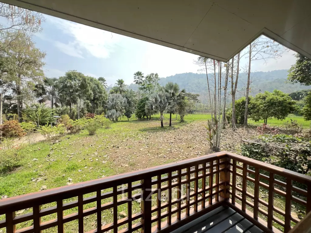 บ้านให้เช่า 3 ห้องนอนท่ามกลางธรรมชาติที่ต.นางแล
