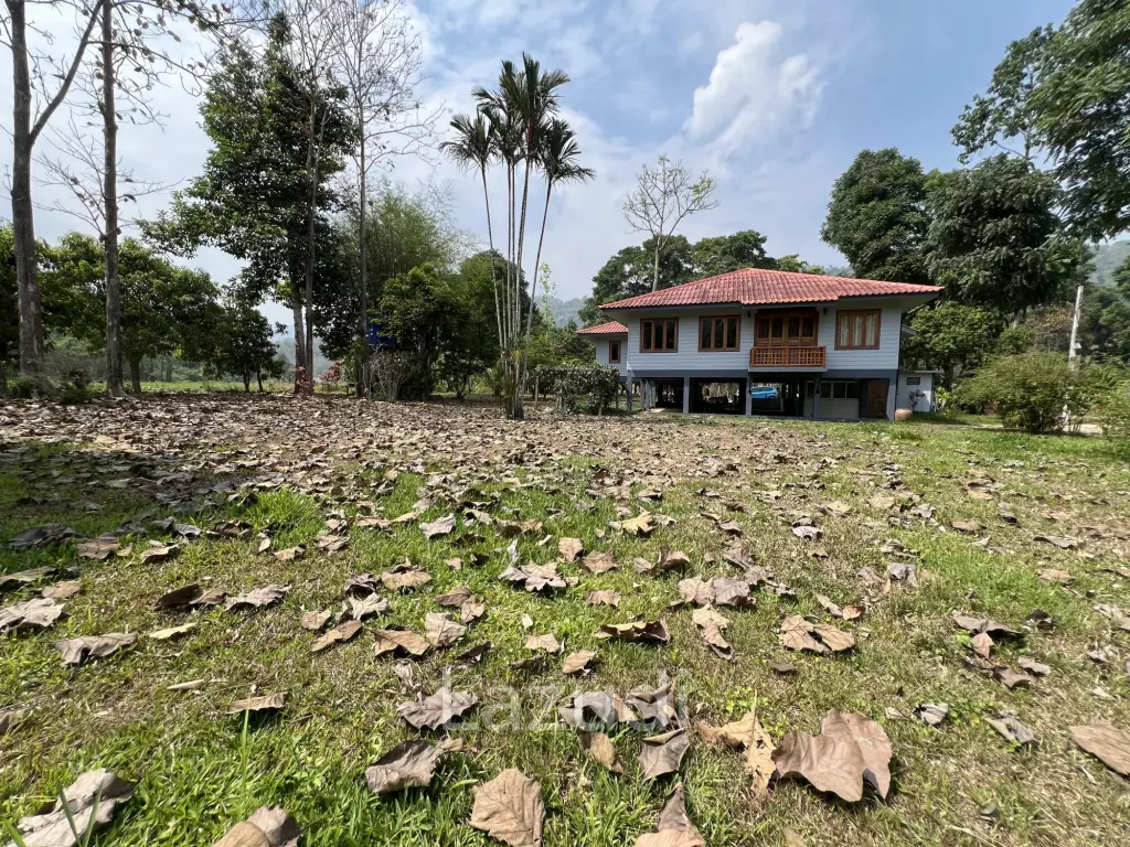บ้านให้เช่า 3 ห้องนอนท่ามกลางธรรมชาติที่ต.นางแล