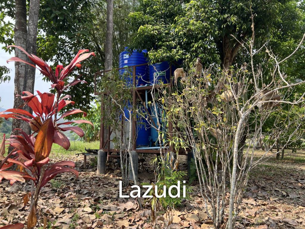บ้านให้เช่า 3 ห้องนอนท่ามกลางธรรมชาติที่ต.นางแล