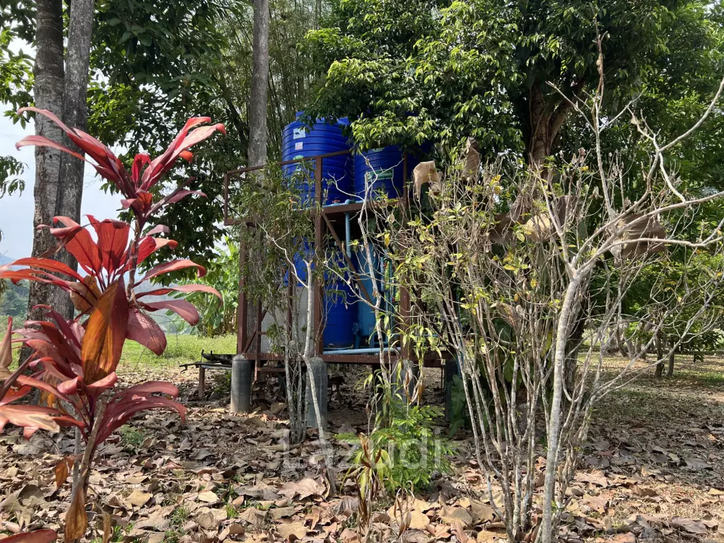บ้านให้เช่า 3 ห้องนอนท่ามกลางธรรมชาติที่ต.นางแล