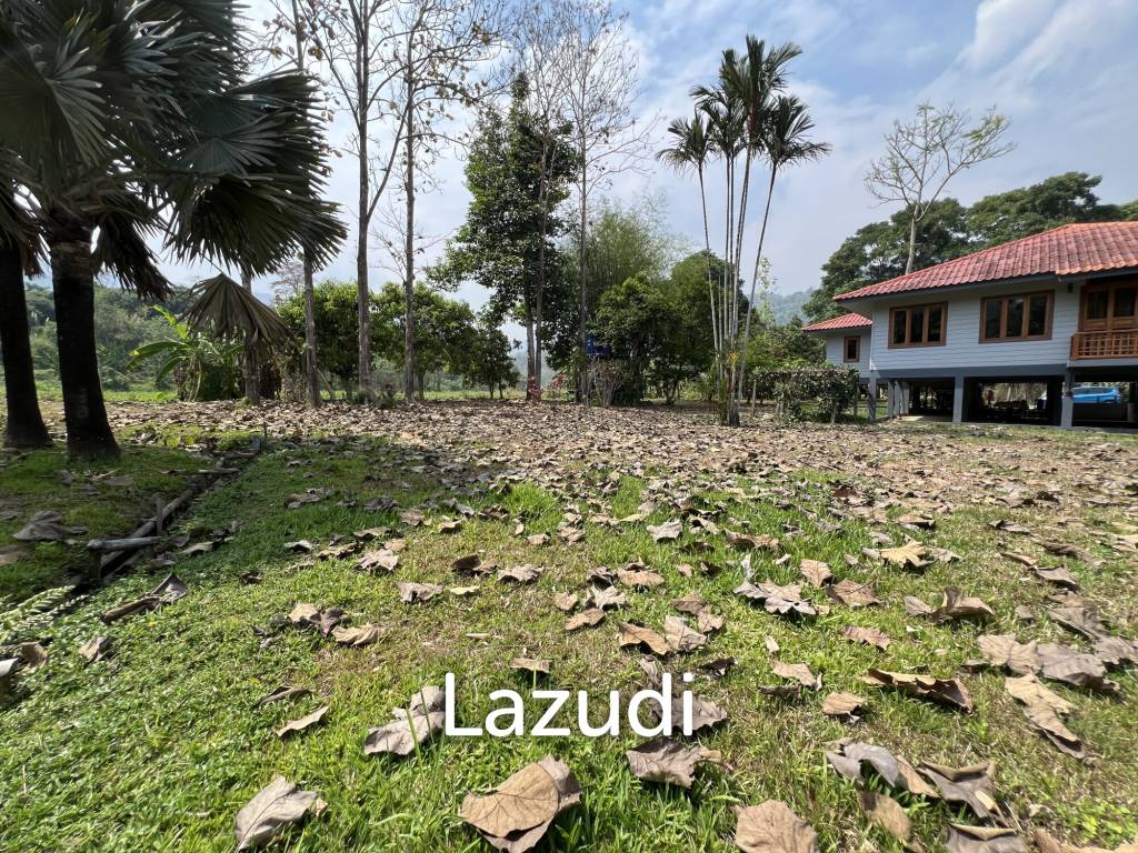 บ้านให้เช่า 3 ห้องนอนท่ามกลางธรรมชาติที่ต.นางแล
