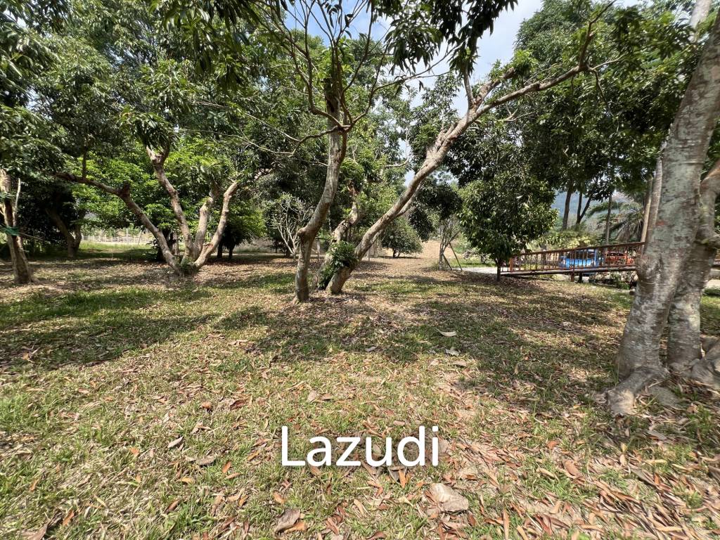 บ้านให้เช่า 3 ห้องนอนท่ามกลางธรรมชาติที่ต.นางแล