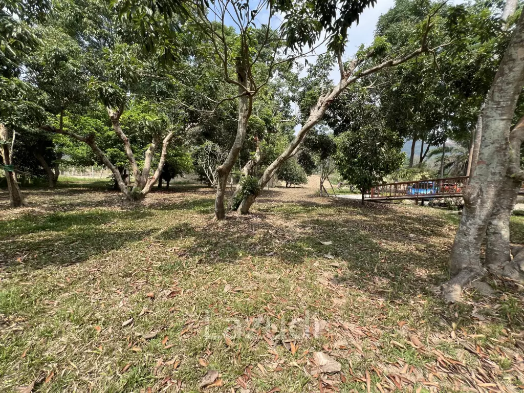 บ้านให้เช่า 3 ห้องนอนท่ามกลางธรรมชาติที่ต.นางแล