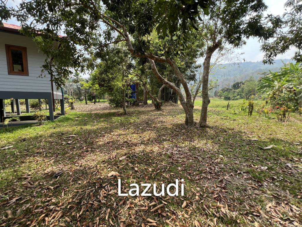 3 Bedroom House For Rent Near Nature in Nang Lae