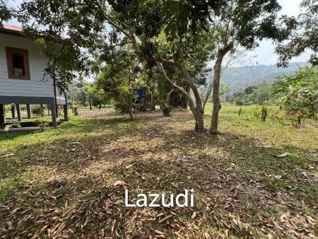 3 Bedroom House For Rent Near Nature in Nang Lae