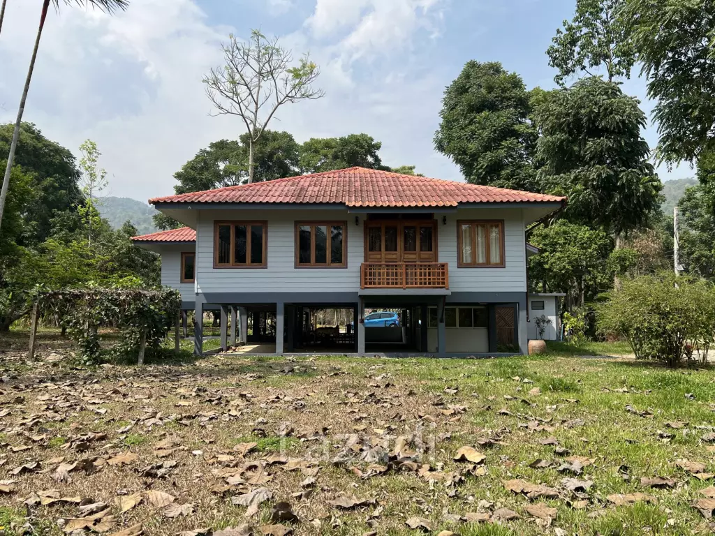 บ้านให้เช่า 3 ห้องนอนท่ามกลางธรรมชาติที่ต.นางแล