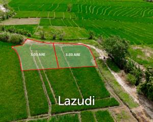 PRIME FREEHOLD LAND IN KERAMBITAN WITH HIGH INVESTMENT POTENTIAL