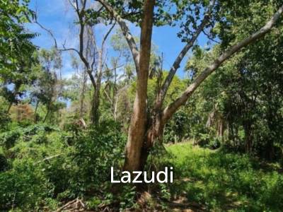 Land for Sale in Ko Pha-ngan – 4,550.8 sqm in Prime Green Zone