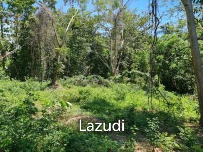 Land for Sale in Ko Pha-ngan – 4,550.8 sqm in Prime Green Zone
