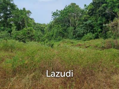 Land for Sale in Ko Pha-ngan – 4,550.8 sqm in Prime Green Zone