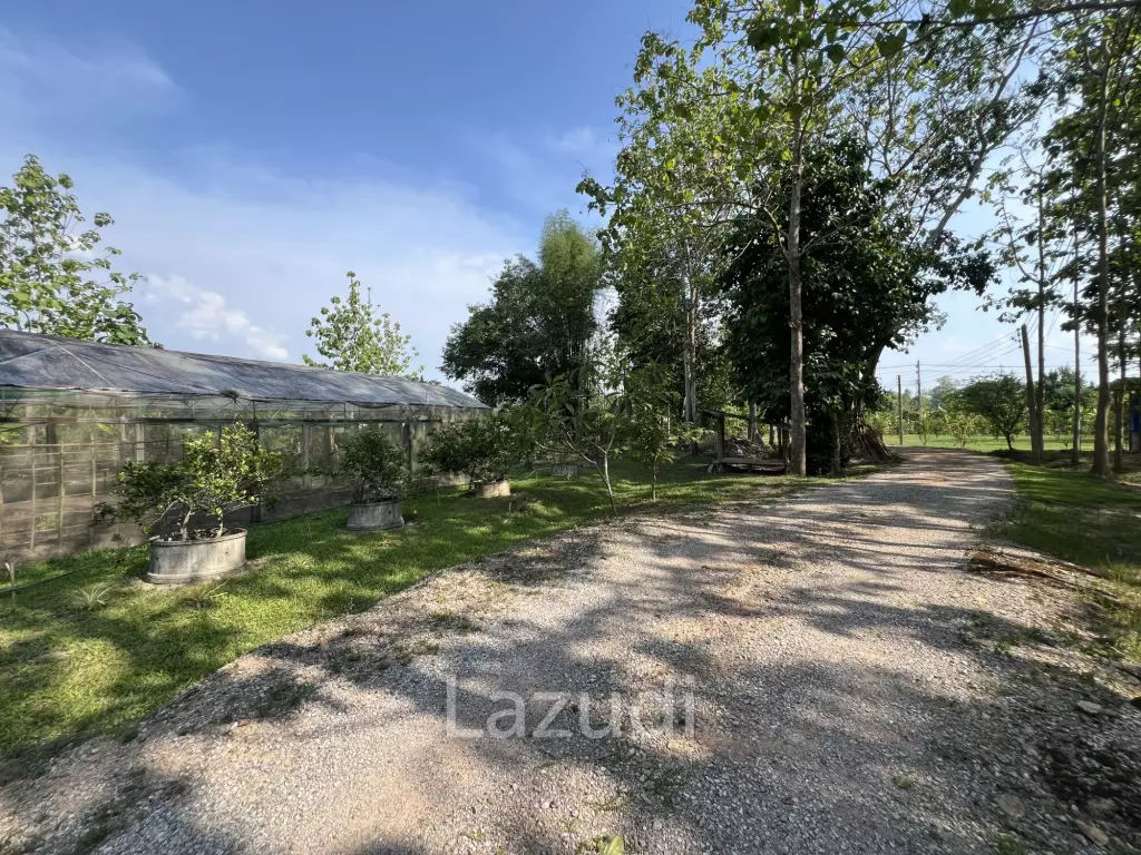 2 Bedrooms Cozy House For Sale in Stunning Garden.