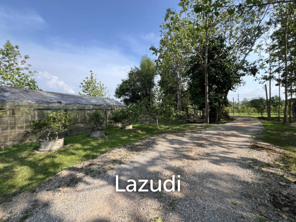 2 Bedrooms Cozy House For Sale in Stunning Garden.