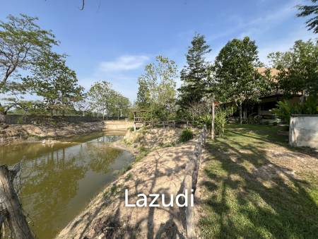 2 Bedrooms Cozy House For Sale in Stunning Garden.