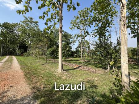 2 Bedrooms Cozy House For Sale in Stunning Garden.