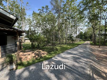 2 Bedrooms Cozy House For Sale in Stunning Garden.