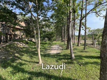 2 Bedrooms Cozy House For Sale in Stunning Garden.