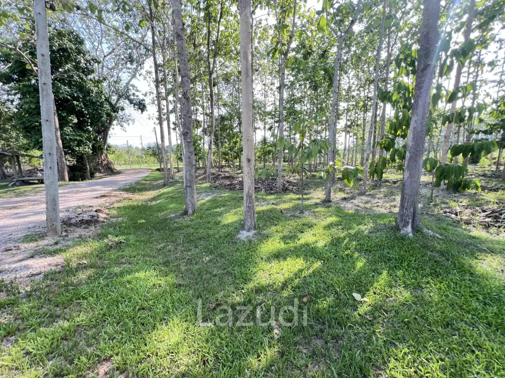 2 Bedrooms Cozy House For Sale in Stunning Garden.