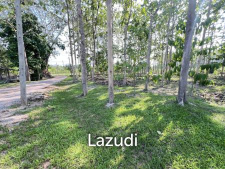 2 Bedrooms Cozy House For Sale in Stunning Garden.
