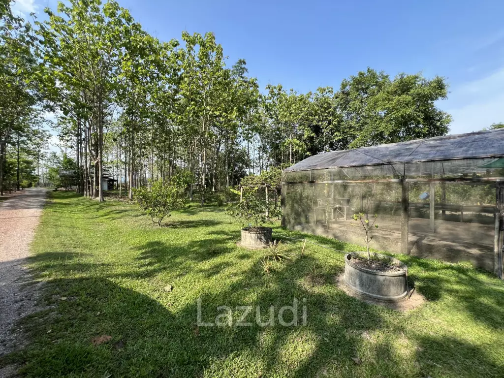 2 Bedrooms Cozy House For Sale in Stunning Garden.