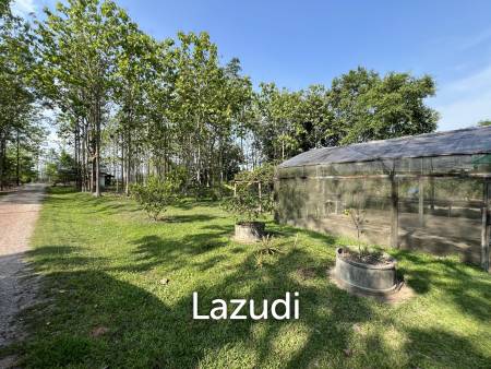 2 Bedrooms Cozy House For Sale in Stunning Garden.