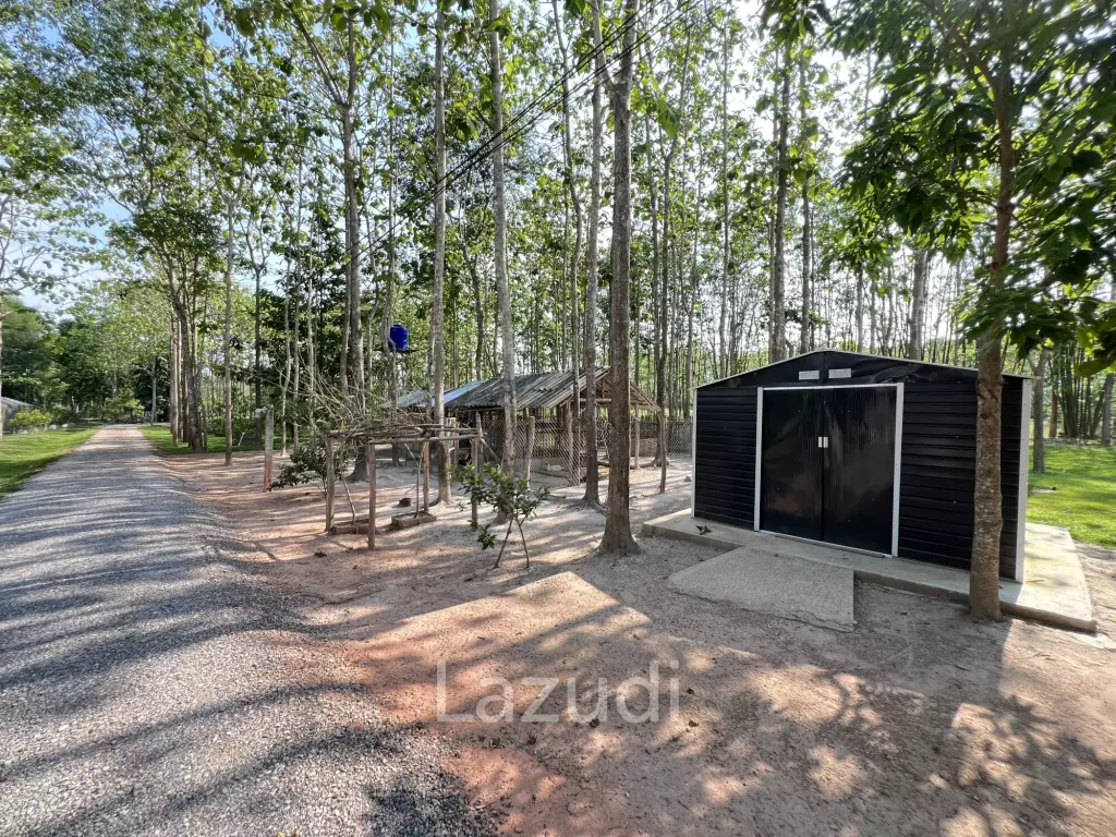 2 Bedrooms Cozy House For Sale in Stunning Garden.