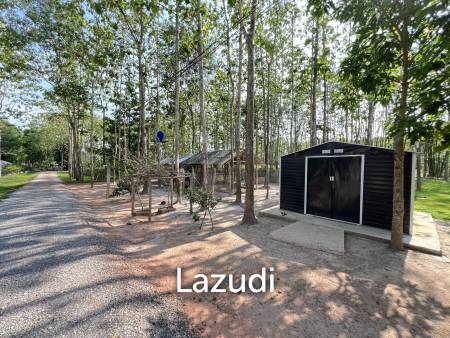 2 Bedrooms Cozy House For Sale in Stunning Garden.