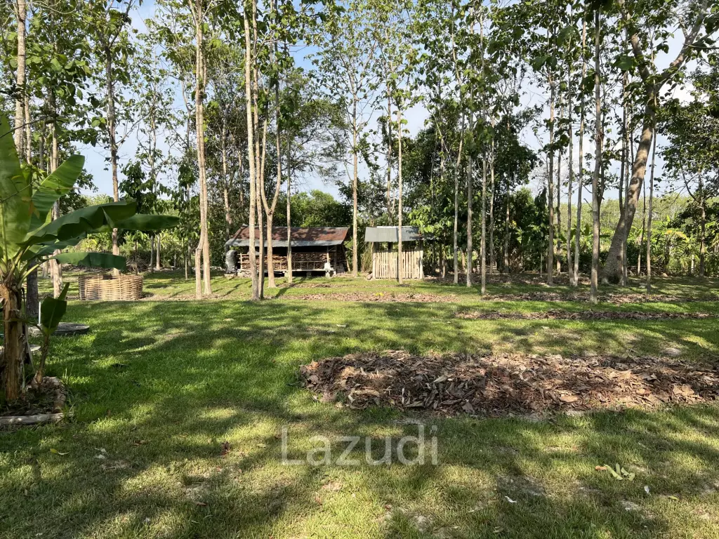 2 Bedrooms Cozy House For Sale in Stunning Garden.
