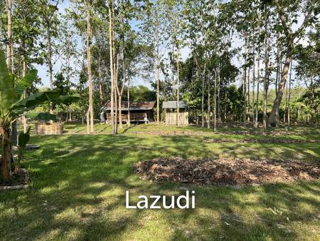 2 Bedrooms Cozy House For Sale in Stunning Garden.